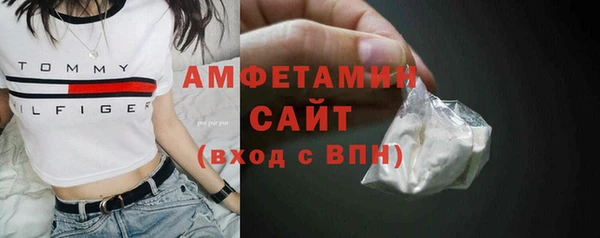 индика Алзамай