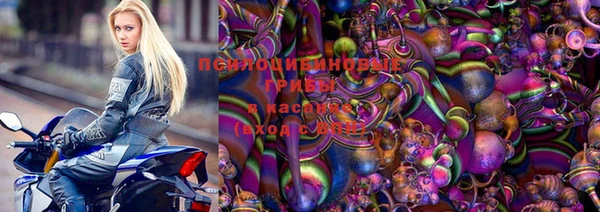 индика Алзамай