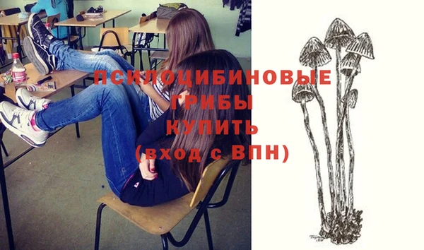 метадон Алексин