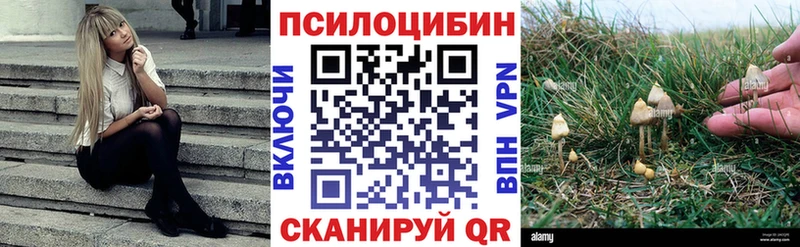 Псилоцибиновые грибы мухоморы  продажа наркотиков  Котлас 