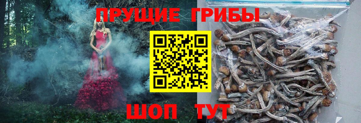 Галлюциногенные грибы Cubensis Котлас