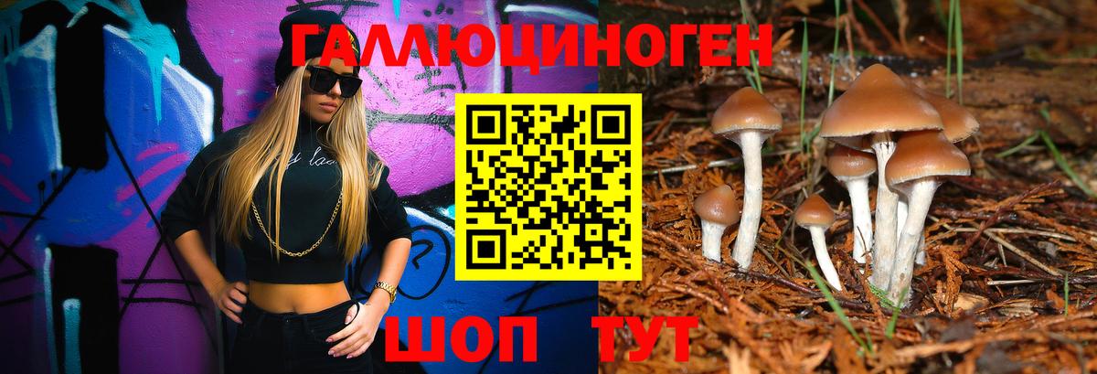 Котлас  Галлюциногенные грибы мицелий  Вход с VPN 